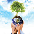 strategie-environnement